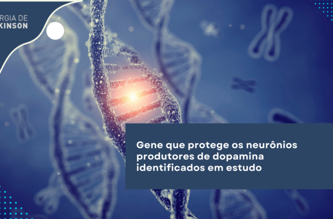 Gene que protege os neurônios produtores de dopamina identificados em estudo